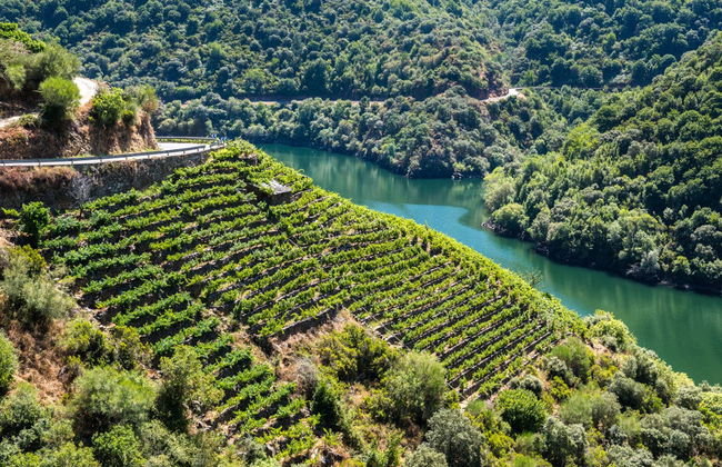 Escursione alla Ribeira Sacra - Foto 2