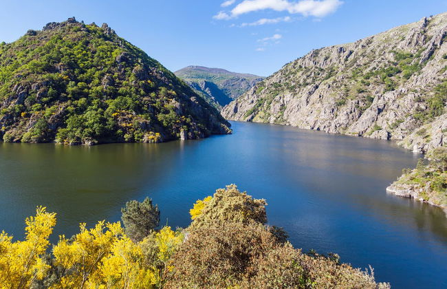 Escursione alla Ribeira Sacra - Foto 1