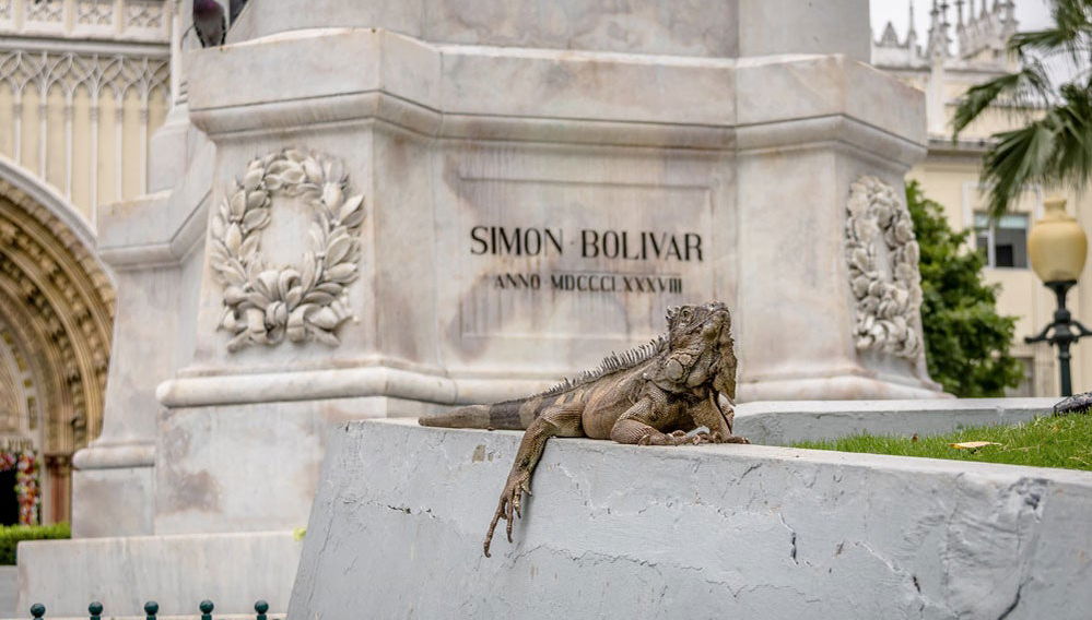Visita guiada por Guayaquil - Foto 1