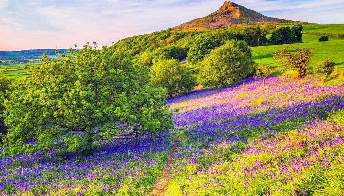 North York Moors Park & Whitby Day Trip - Foto 1