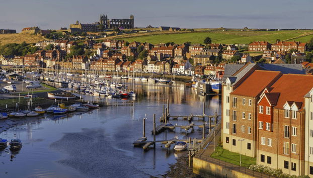 North York Moors Park & Whitby Day Trip - Foto 5