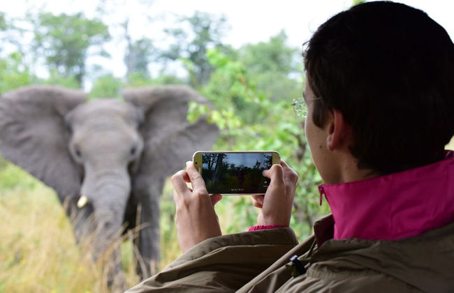 Excursion au Parc National de Chobe - Photo 6