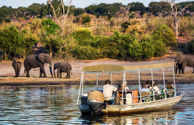 Excursion au Parc National de Chobe - Photo 1