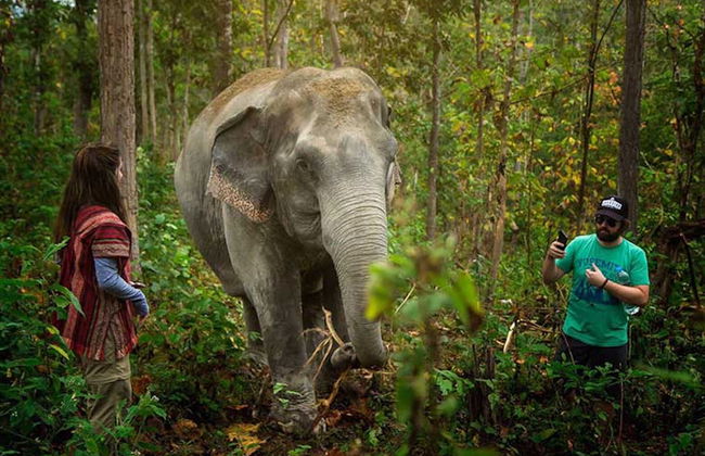 Excursión al santuario de elefantes de Samui - Foto 7