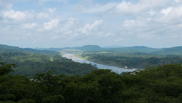 Excursão ao Parque Nacional Soberanía e ao santuário de bichos-preguiça - Foto 5