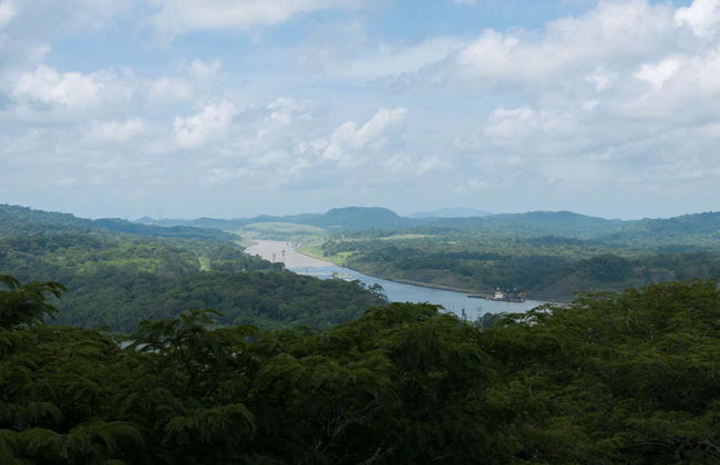 Excursion to Soberania National Park and Sloth Sanctuary - Foto 5