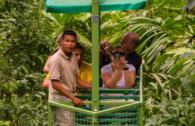 Excursion to Soberania National Park and Sloth Sanctuary - Foto 2