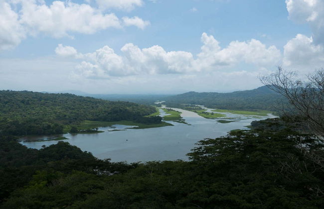 Excursion to Soberania National Park and Sloth Sanctuary - Foto 6