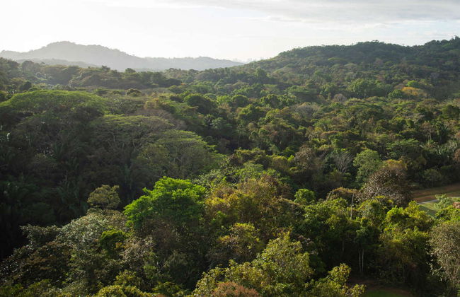 Excursion to Soberania National Park and Sloth Sanctuary - Foto 7