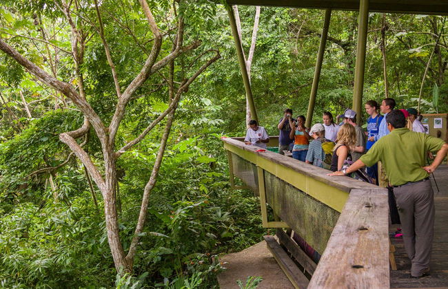 Excursion to Soberania National Park and Sloth Sanctuary - Foto 1