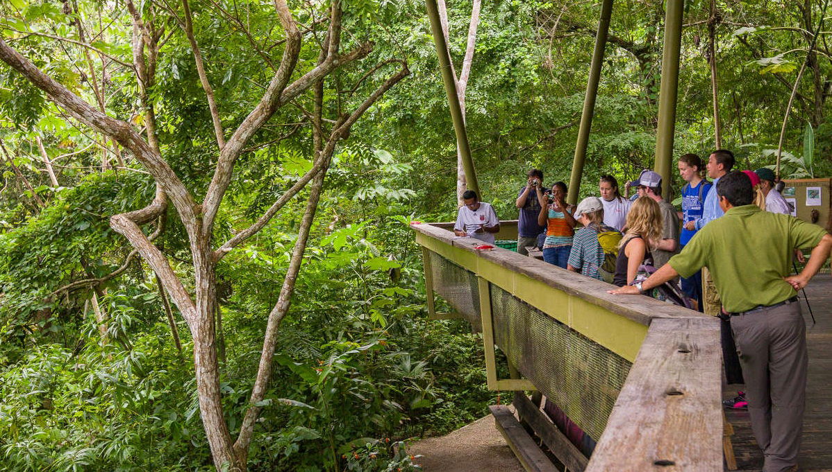 Excursão ao Parque Nacional Soberanía e ao santuário de bichos-preguiça - Foto 1