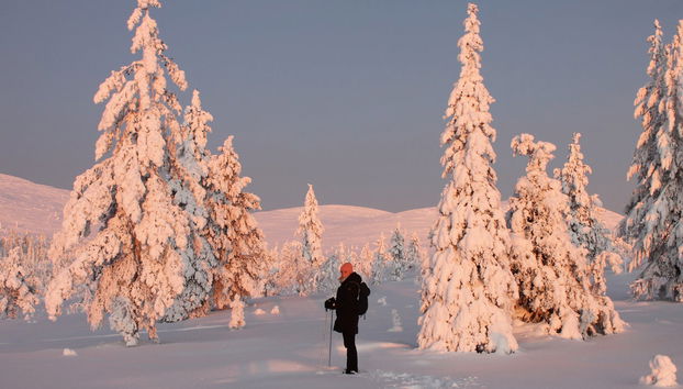 Pallas-Yllästunturi National Park Snowshoe Tour - Photo 2