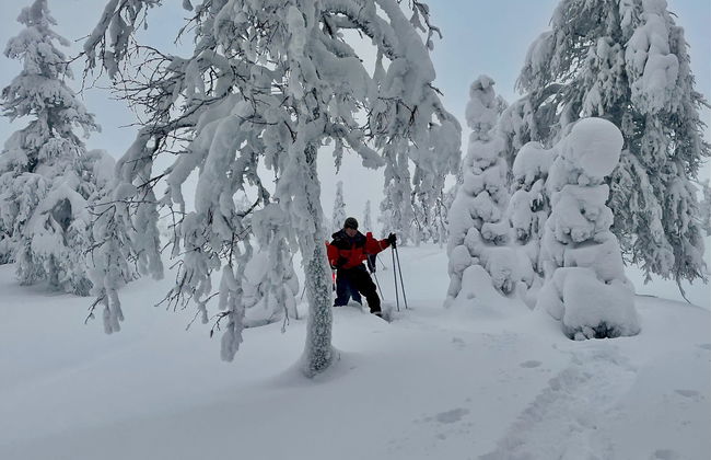 Passeio com raquetes de neve pelo Parque Pallas-Yllästunturi - Foto 3