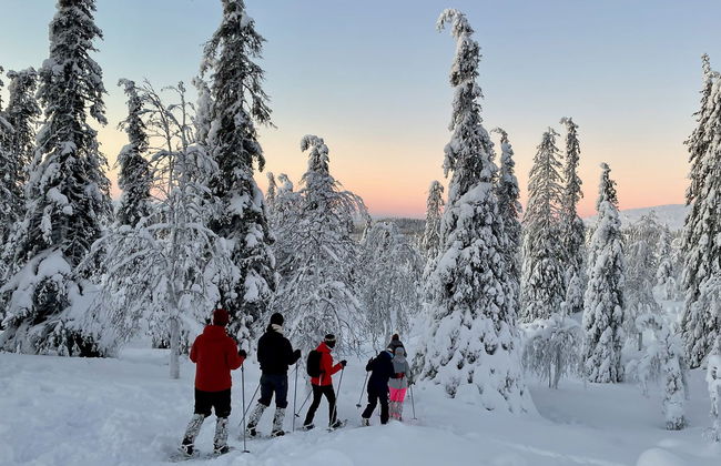 Passeio com raquetes de neve pelo Parque Pallas-Yllästunturi - Foto 2