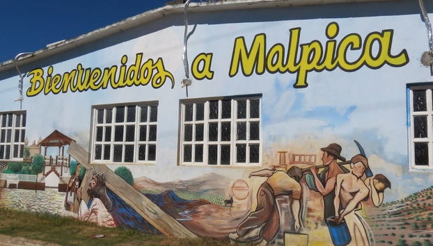 Malpica, Concordia & Copala Excursion - Foto 2