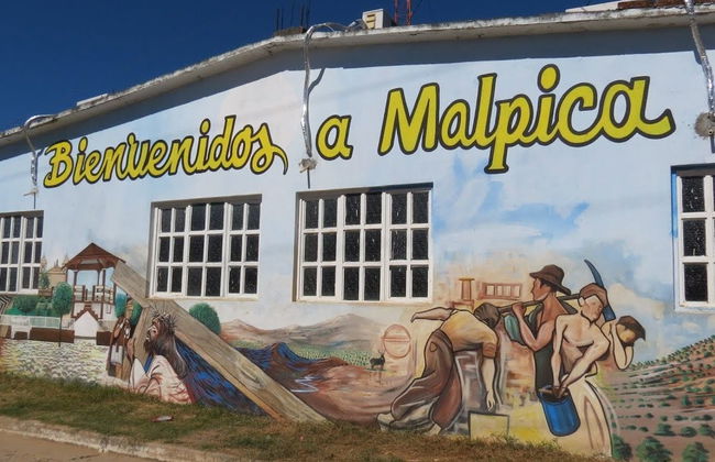 Malpica, Concordia & Copala Excursion - Photo 2