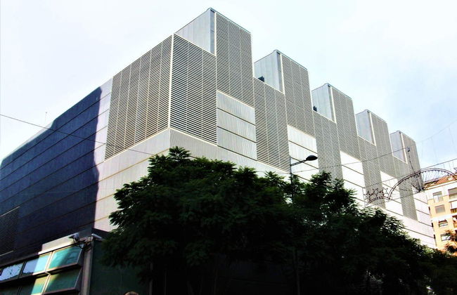 Visita guiada pelo Museu de Belas Artes - Foto 6