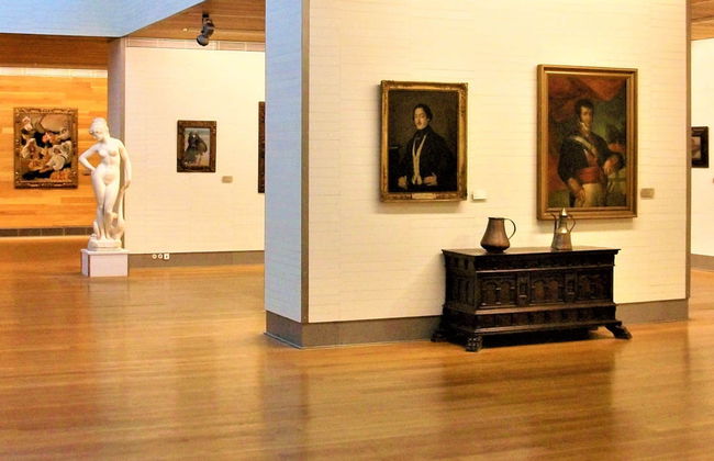 Visita guiada pelo Museu de Belas Artes - Foto 4