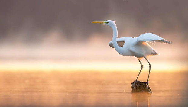 Tour en kayak por la laguna de Cacao - Foto 4