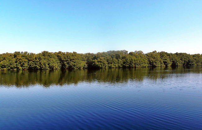 Tour en kayak por la laguna de Cacao - Foto 2