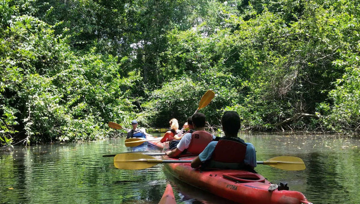 Tour en kayak por la laguna de Cacao - Foto 1
