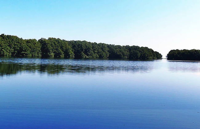 Tour en kayak por la laguna de Cacao - Foto 4