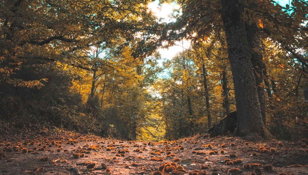 Randonnée dans la vallée de l'Ambroz - Photo 5