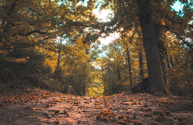 Trilha pelo Vale do Ambroz - Foto 5