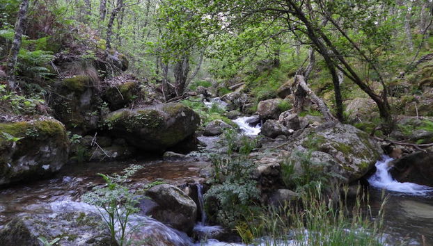 Randonnée dans la vallée de l'Ambroz - Photo 2