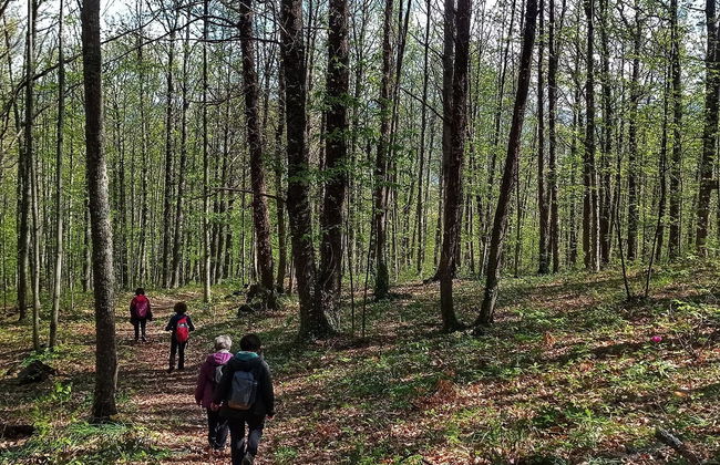 Randonnée dans la vallée de l'Ambroz - Photo 4