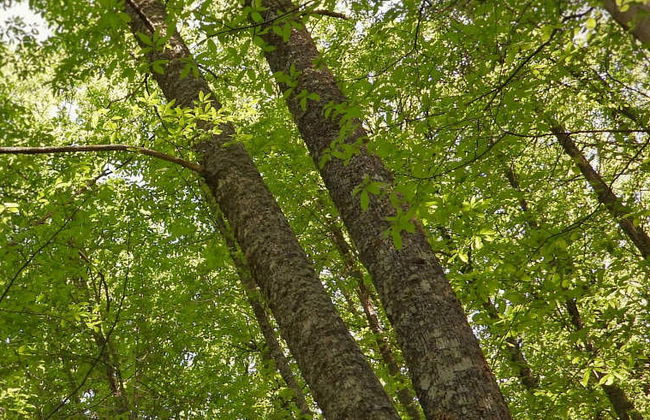 Randonnée dans la vallée de l'Ambroz - Photo 5