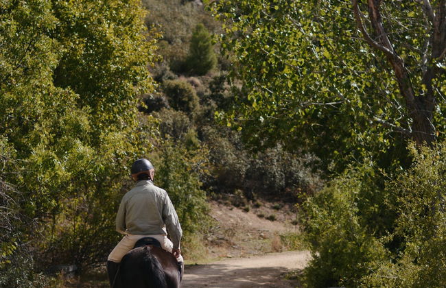 Passeggiata a cavallo nel Parco Nazionale di Guadarrama - Foto 8