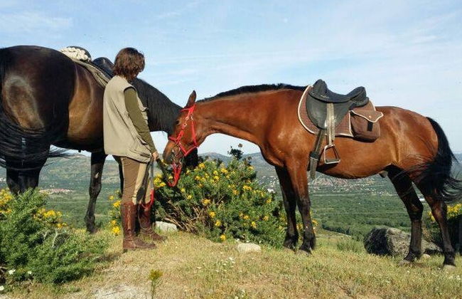 Passeggiata a cavallo nel Parco Nazionale di Guadarrama - Foto 4