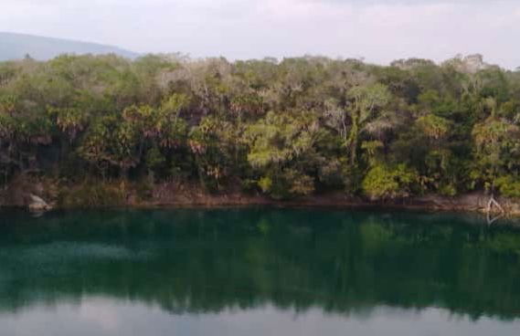 Excursión a los cenotes de Aldama - Foto 8