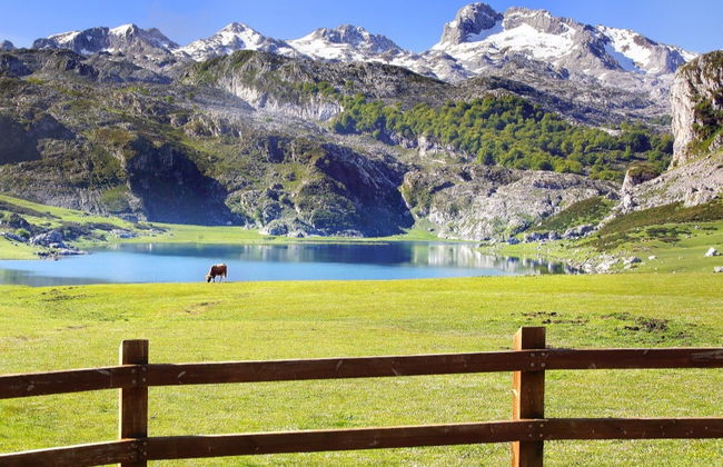 Balade à cheval aux Pics d'Europe - Photo 1