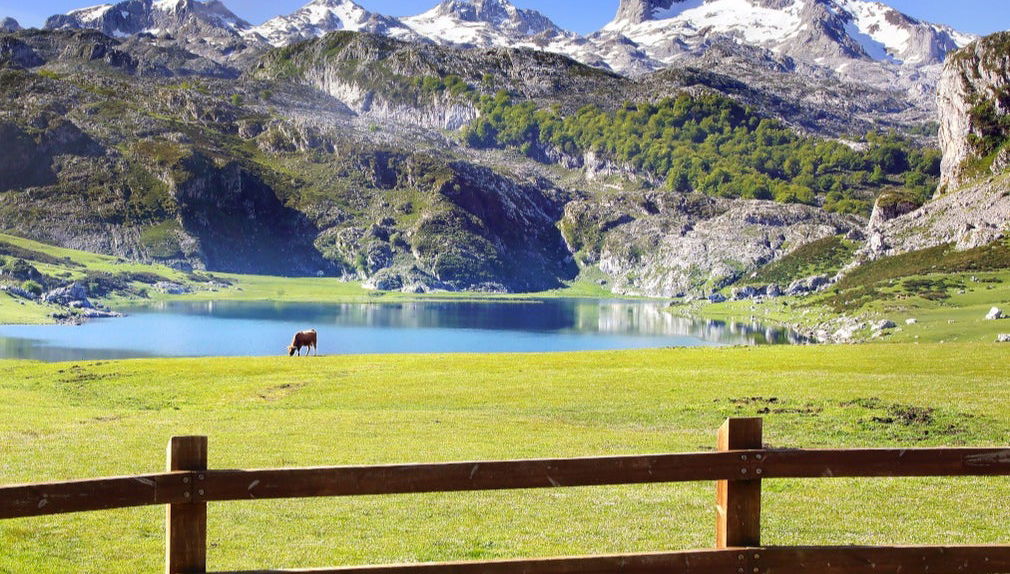 Picos de Europa Horseback Ride - Photo 1
