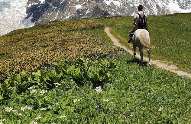 Balade à cheval aux Pics d'Europe - Photo 2