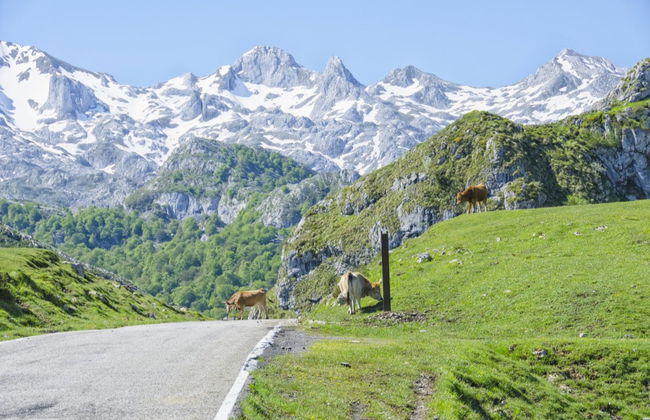 Balade à cheval aux Pics d'Europe - Photo 6