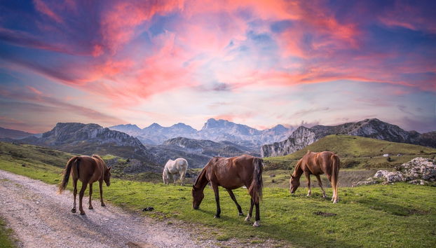 Picos de Europa Horseback Ride - Photo 4