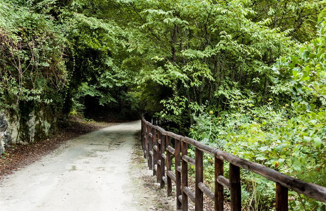 Tour privato della Riserva naturale di Pantalica - Foto 7