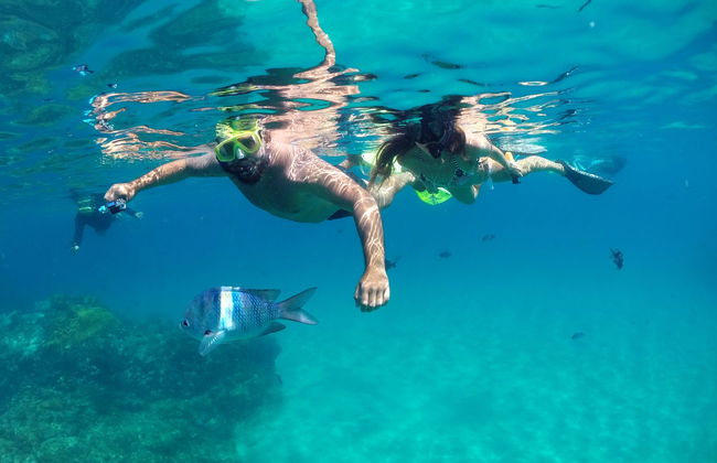 Snorkeling à Praia do Cachorro - Photo 4
