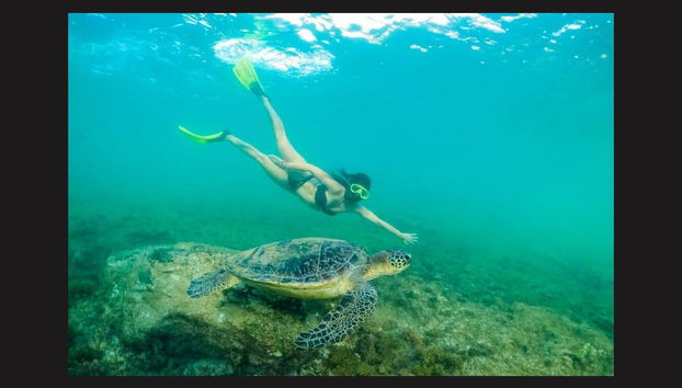 Praia do Cachorro Snorkeling - Photo 3