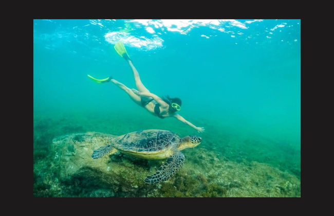 Snorkeling a Praia do Cachorro - Foto 3