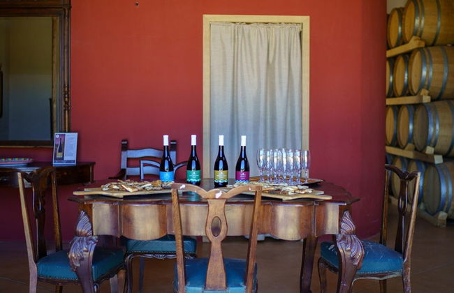 Visita a una cantina di Partinico - Foto 3