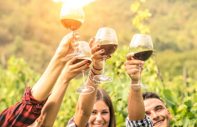 Visita a una cantina di Partinico - Foto 5