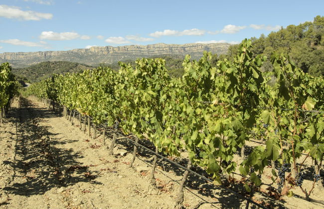 Siurana Tour - Foto 2