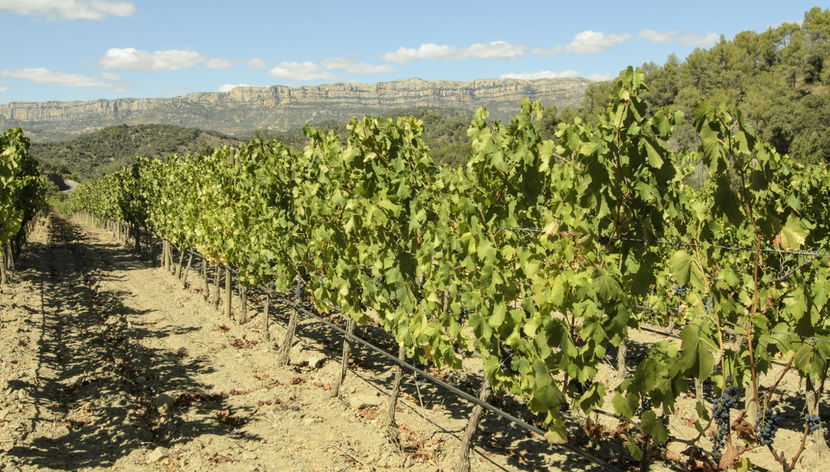 Siurana Tour - Foto 2