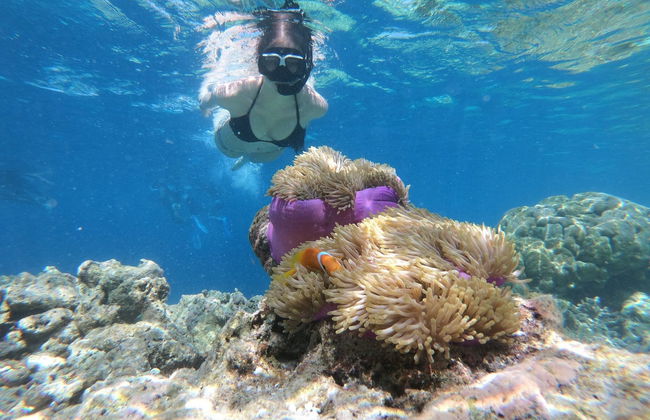 Snorkel en la playa del Escambrón - Foto 2