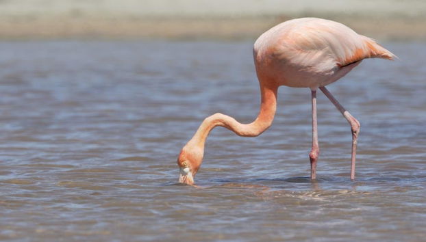 Excursion à Cerro Mesa et Garrapatero - Photo 3
