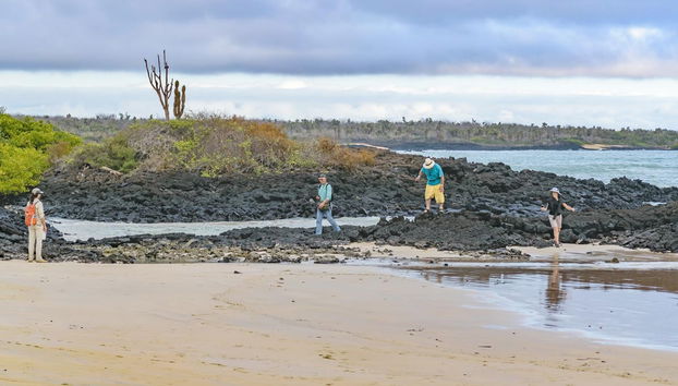 Excursion à Cerro Mesa et Garrapatero - Photo 2